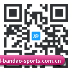 iPhone 与 iPad 专享端 二维码